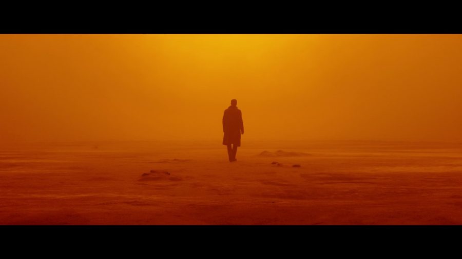 Officer K, played by Ryan Gosling, traverses through an apocalyptic future. Photo still provided from the film Blade Runner 2049. 
