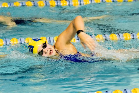 First-year Lauren Raike warms up in the pool at the Carver Center in preparation for the swimming team’s meet at Carthage College on Saturday, Jan. 12. Photo by Ian Murrin. 