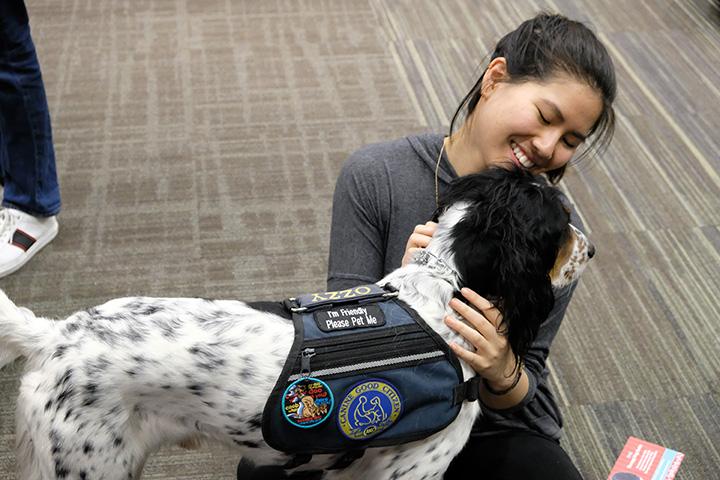 Sophomore Tracy Pham sharing love with Ozzy in the Gavle rooms on April 5. Photo by Mikaylo Kelly.