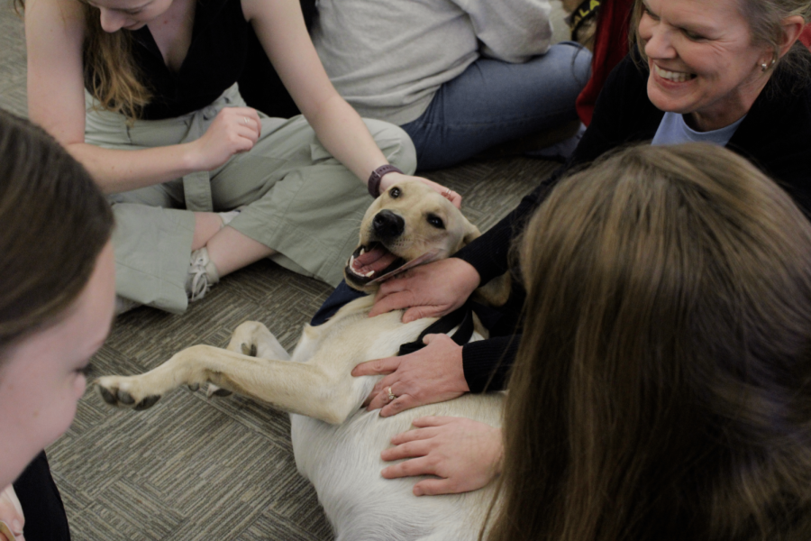Augustana students pet therapy dogs in the Thomas Tredway Library on Dec. 5 during the annual Woofapalooza.