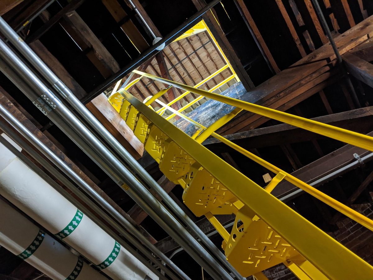Ladders between level of the Old Main dome.