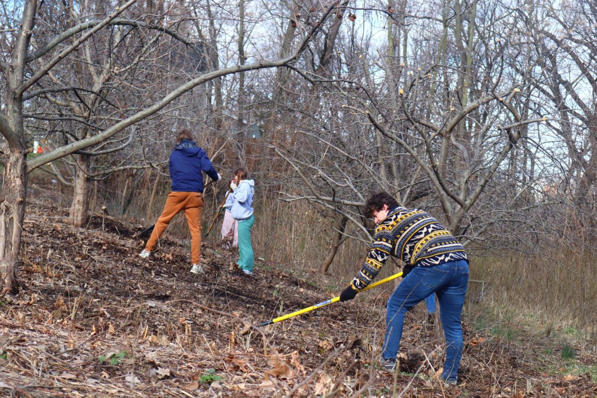 Augie Acres members clean out garden for new growth on March 17, 2024