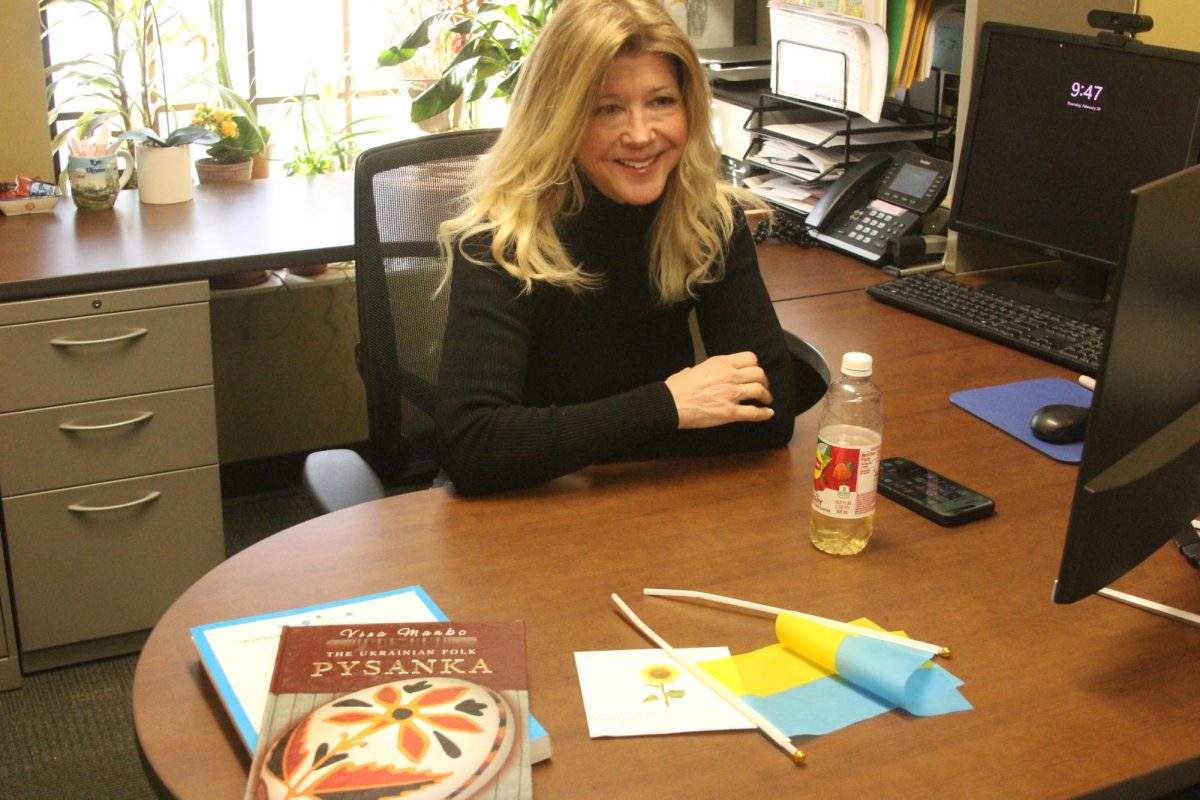 Professor Angela Boelens talks about her nonprofit organization, IA NICE, in her office in Evald Hall.